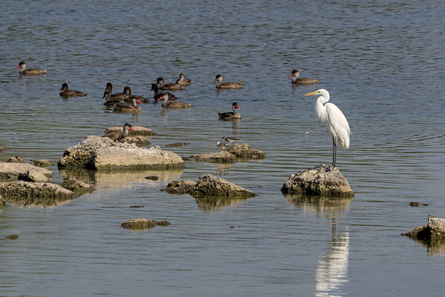 Zwei Flussuferl&auml;ufer und mehr