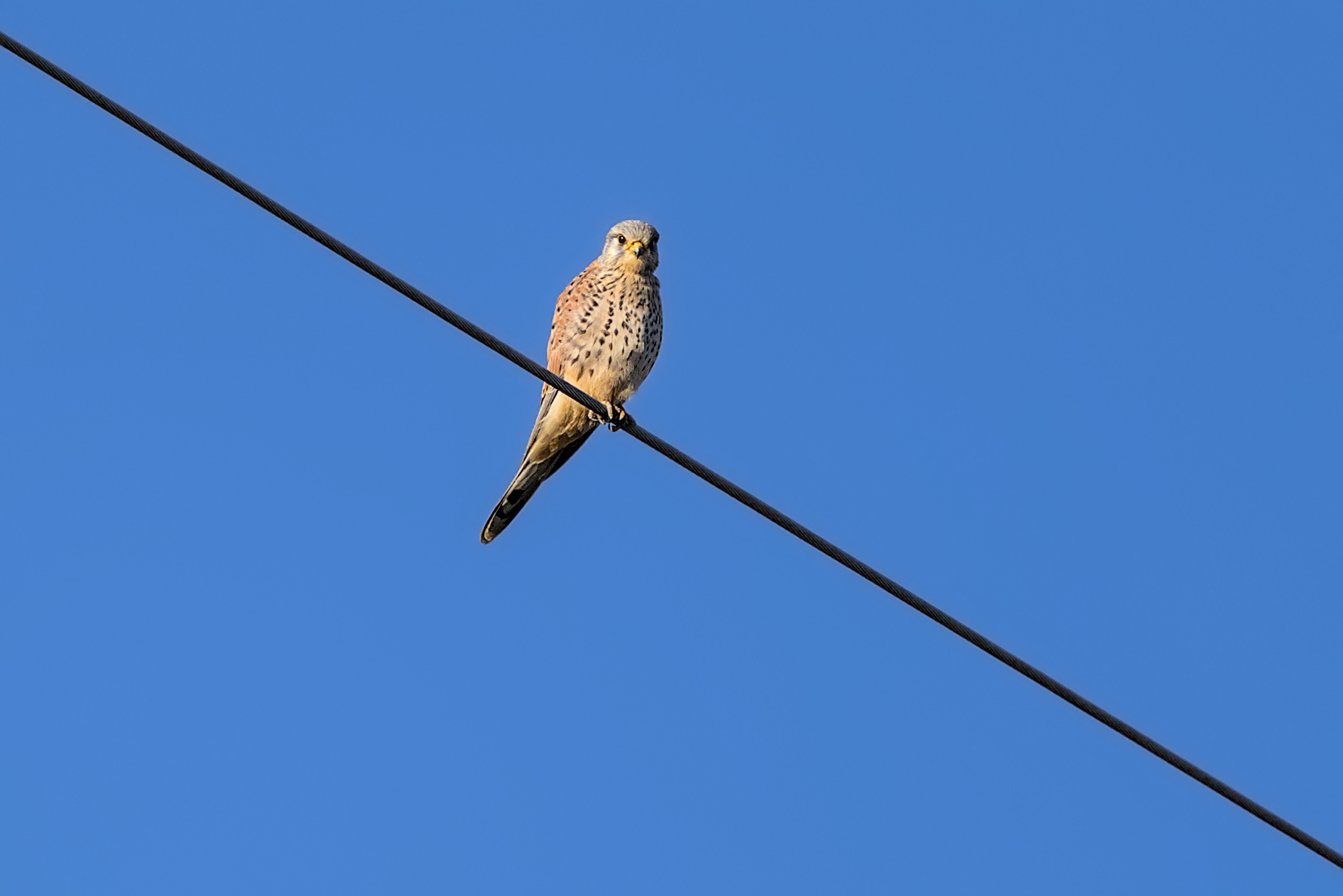 Bist du gef&auml;hrlich?