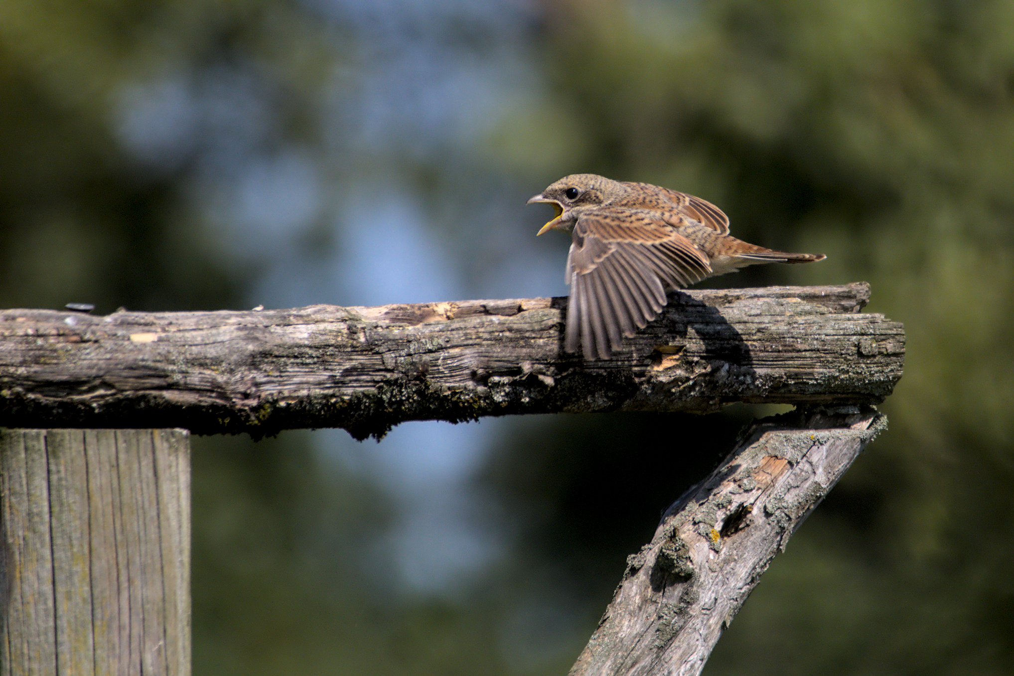 K&ouml;nnen wir reden?