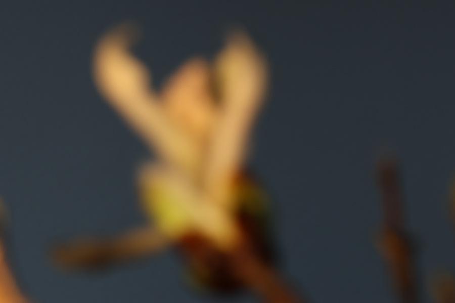 Fernpunkt
