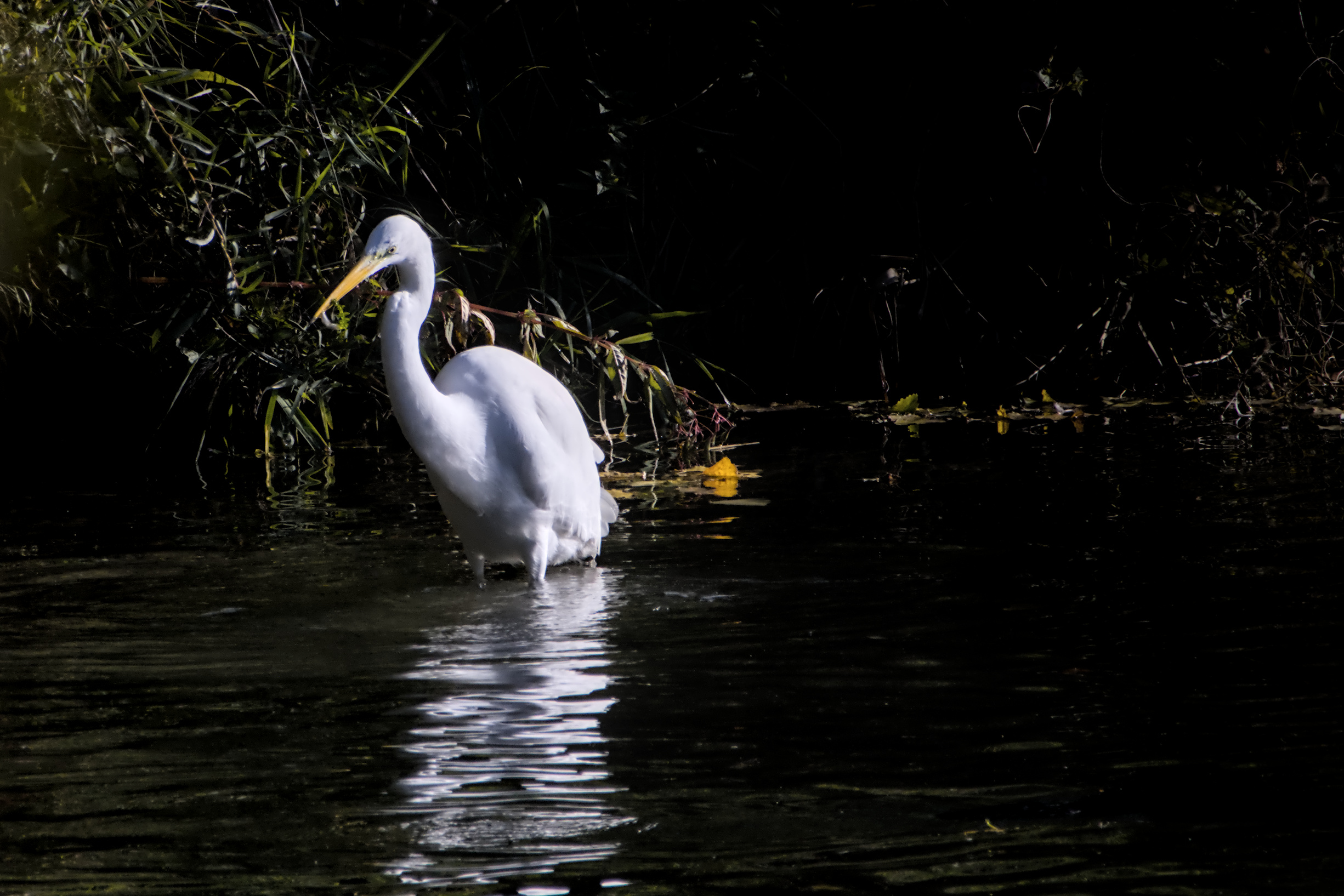 Das Sushi genie&szlig;en
