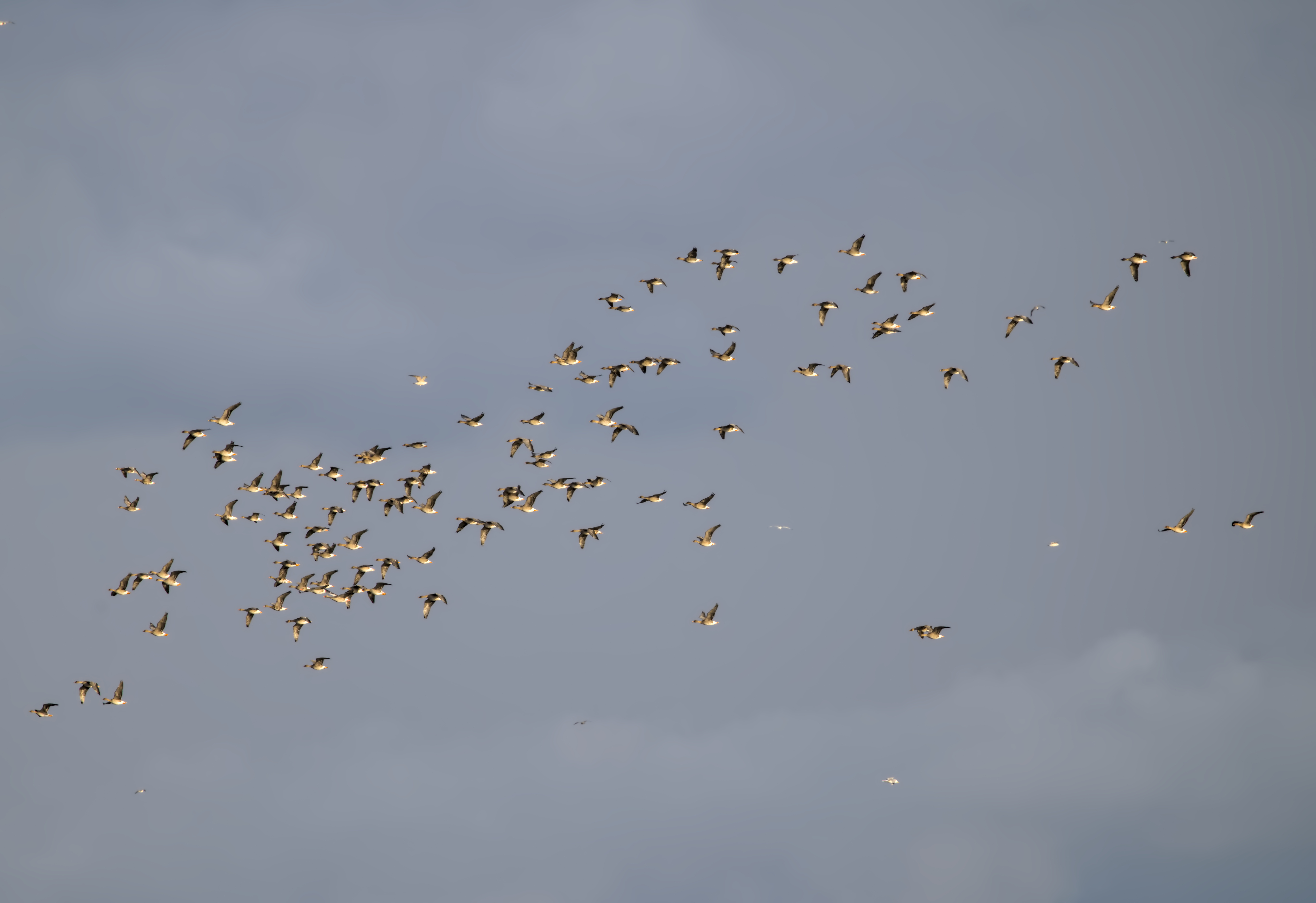 Familienausflug
