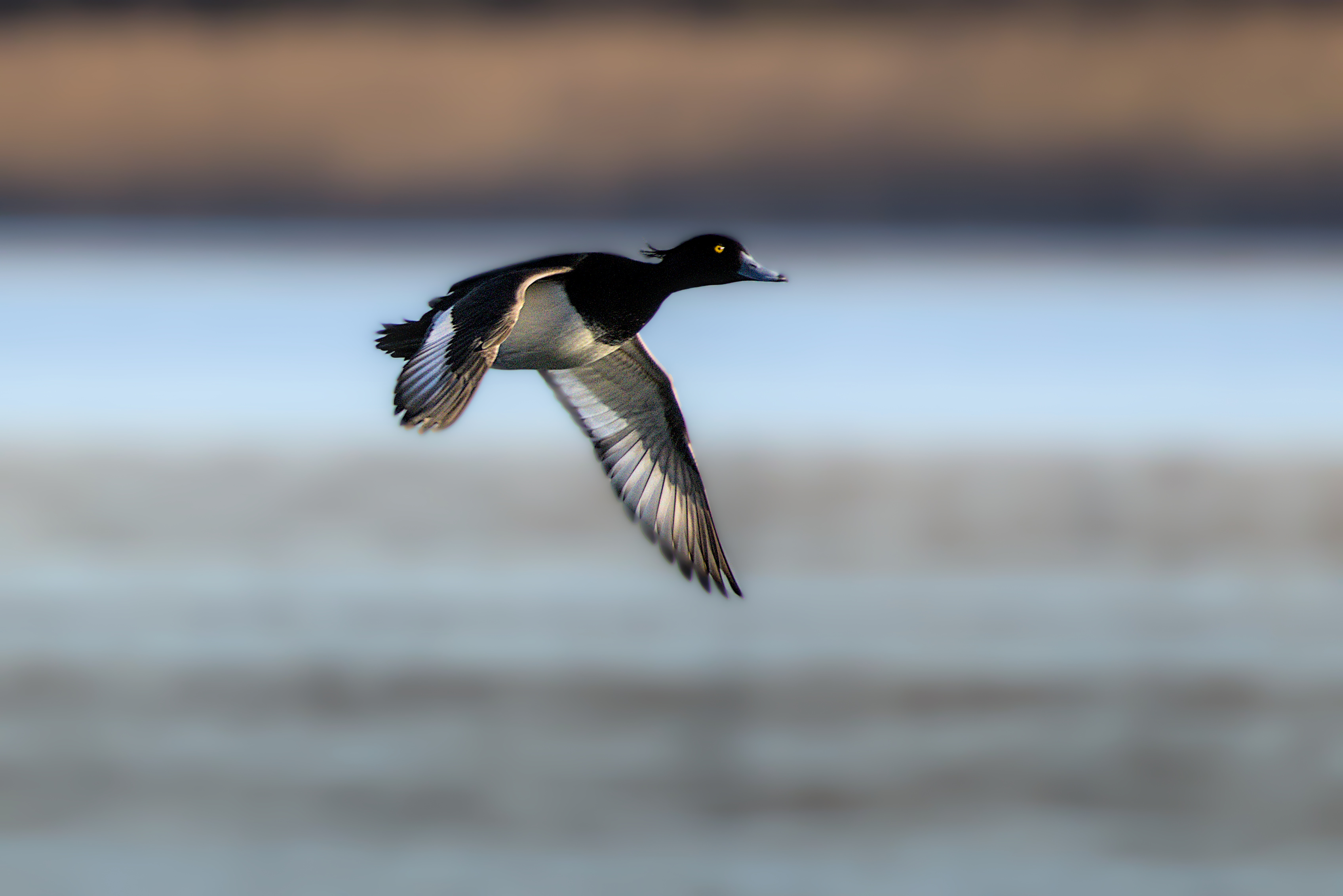 Vorbeiflug