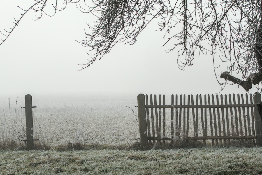 Tor am Rand einer Wiese