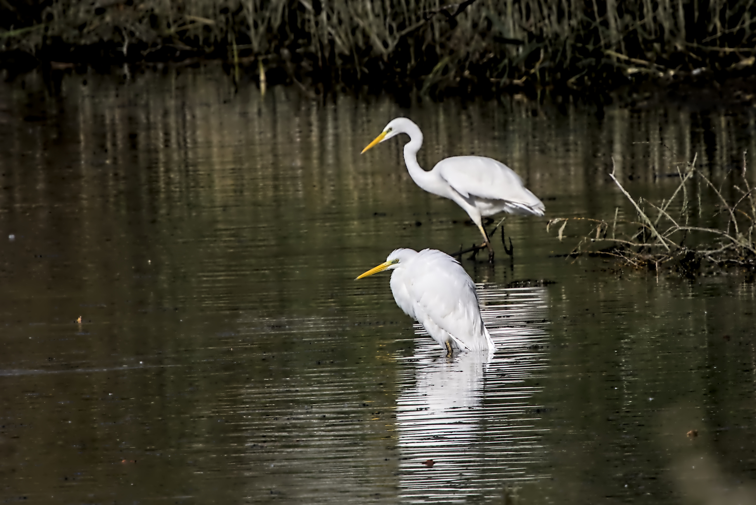 Geh und hol deinen Eigenen