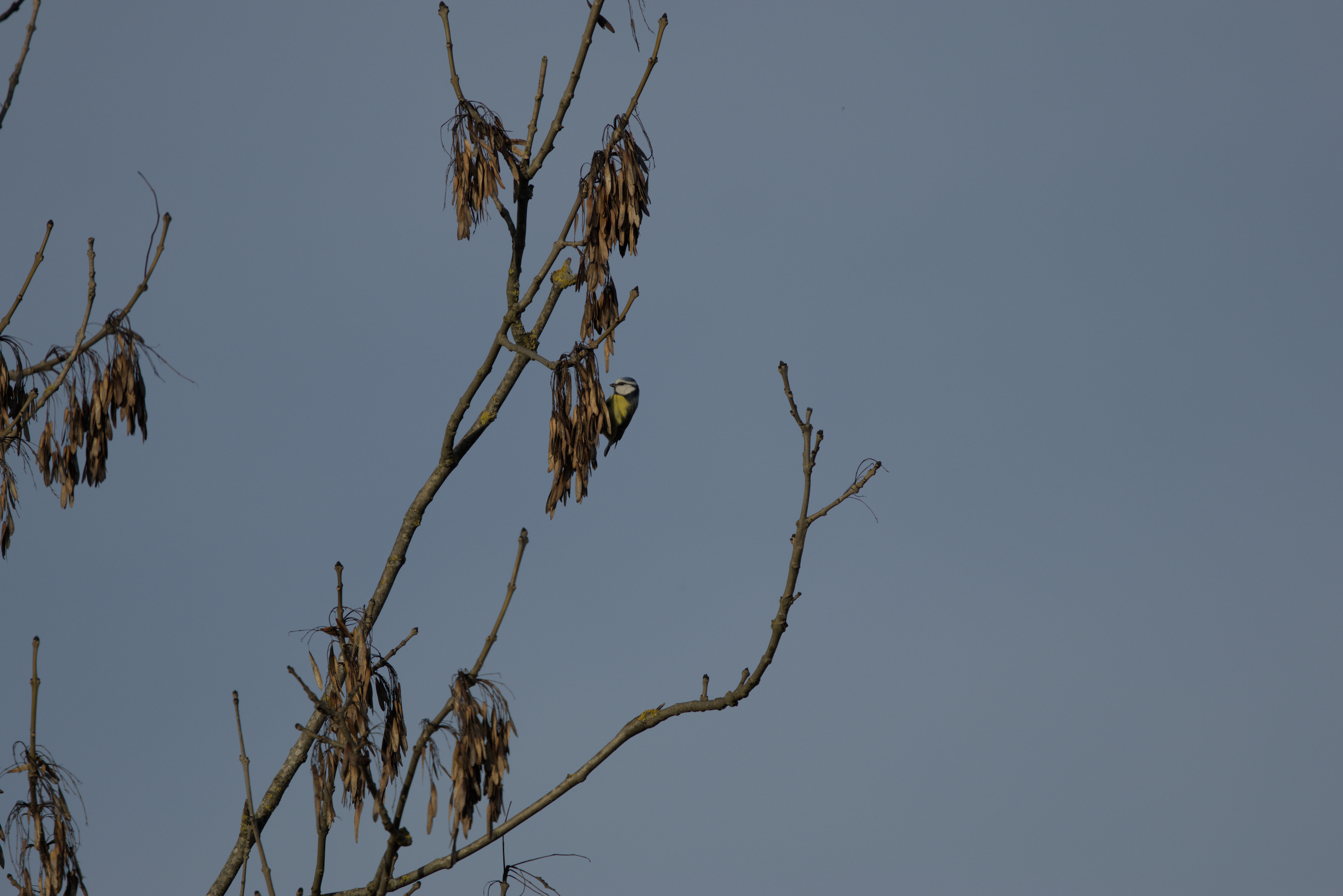 Die guten Sachen h&auml;ngen hoch