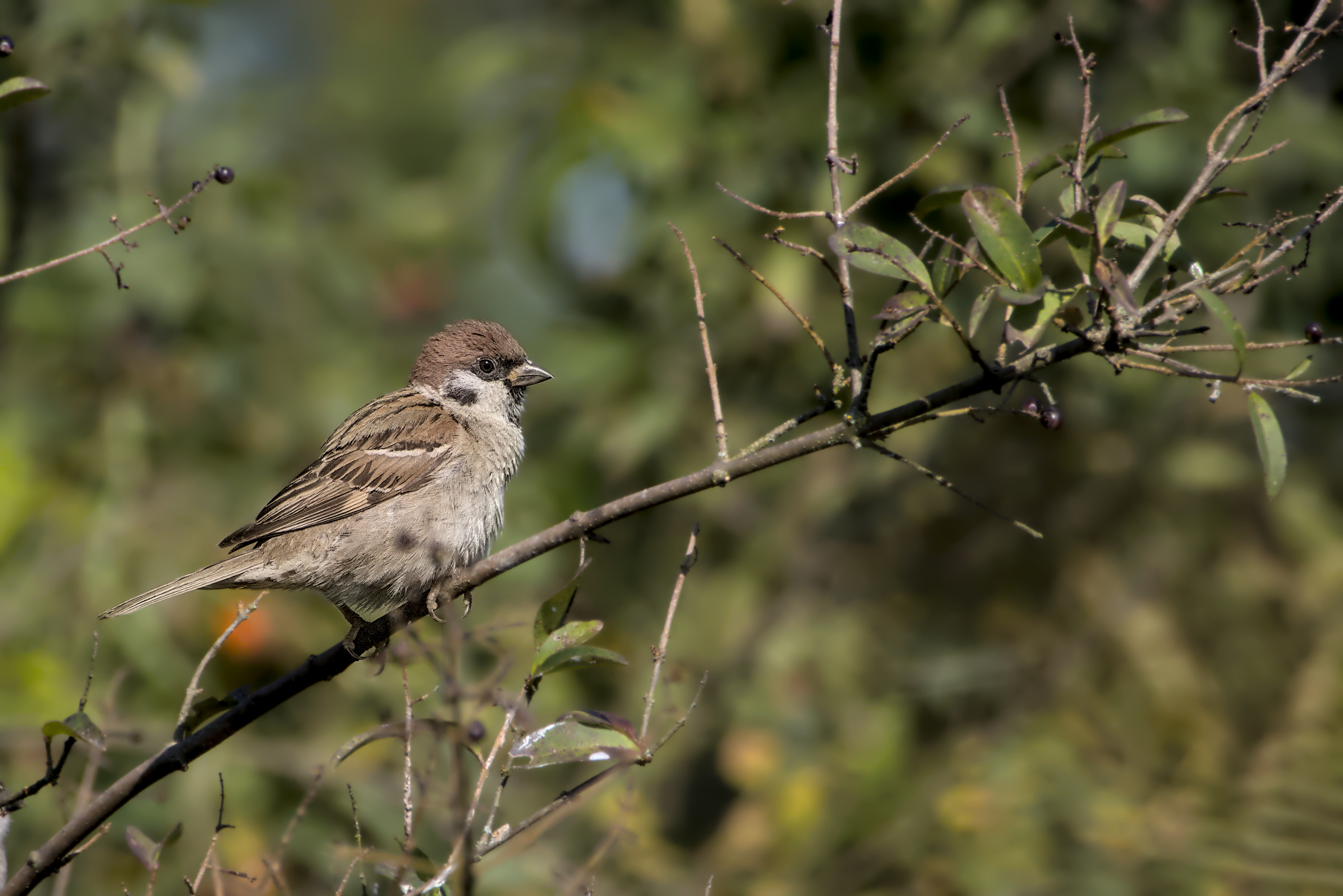 Hey Mann, was geht ab?