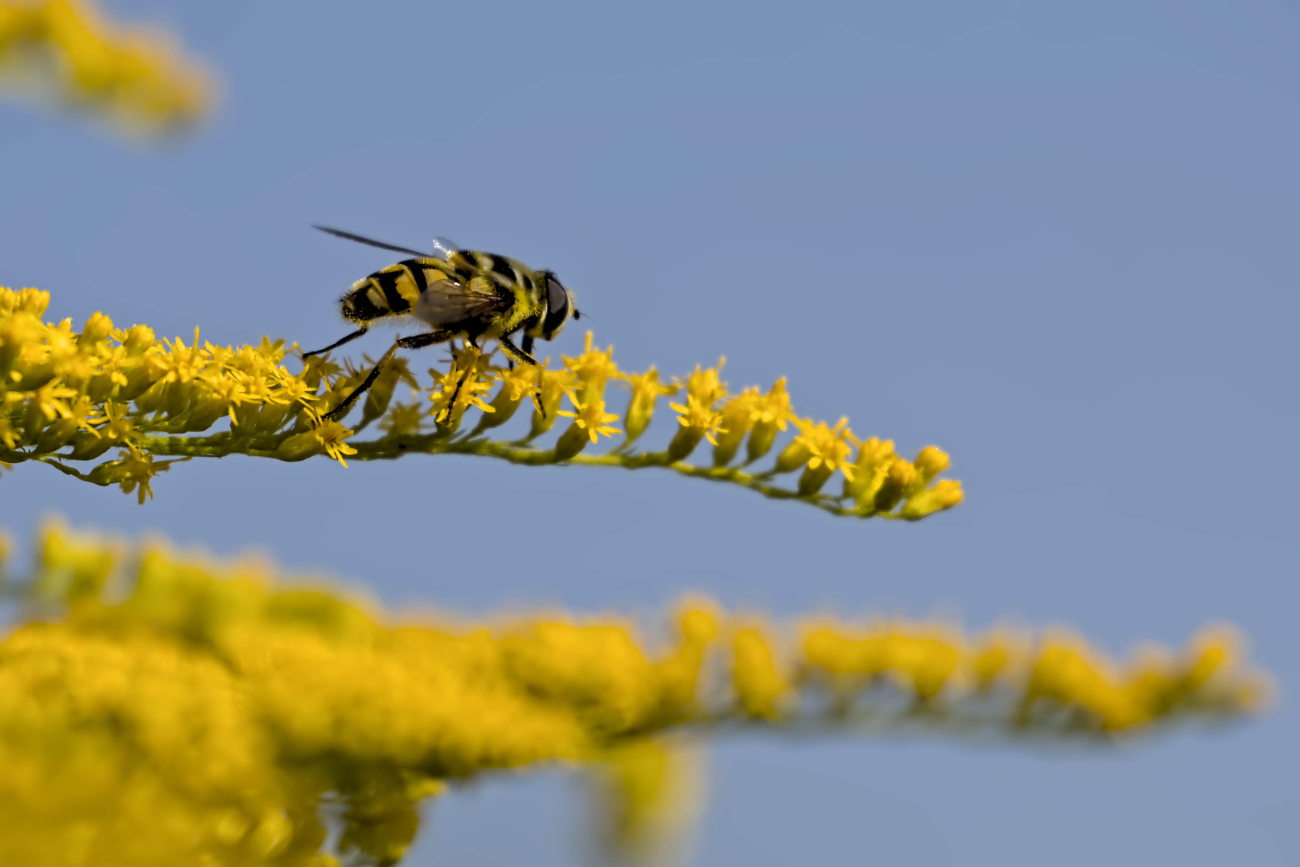 Wie weit kann ich gehen