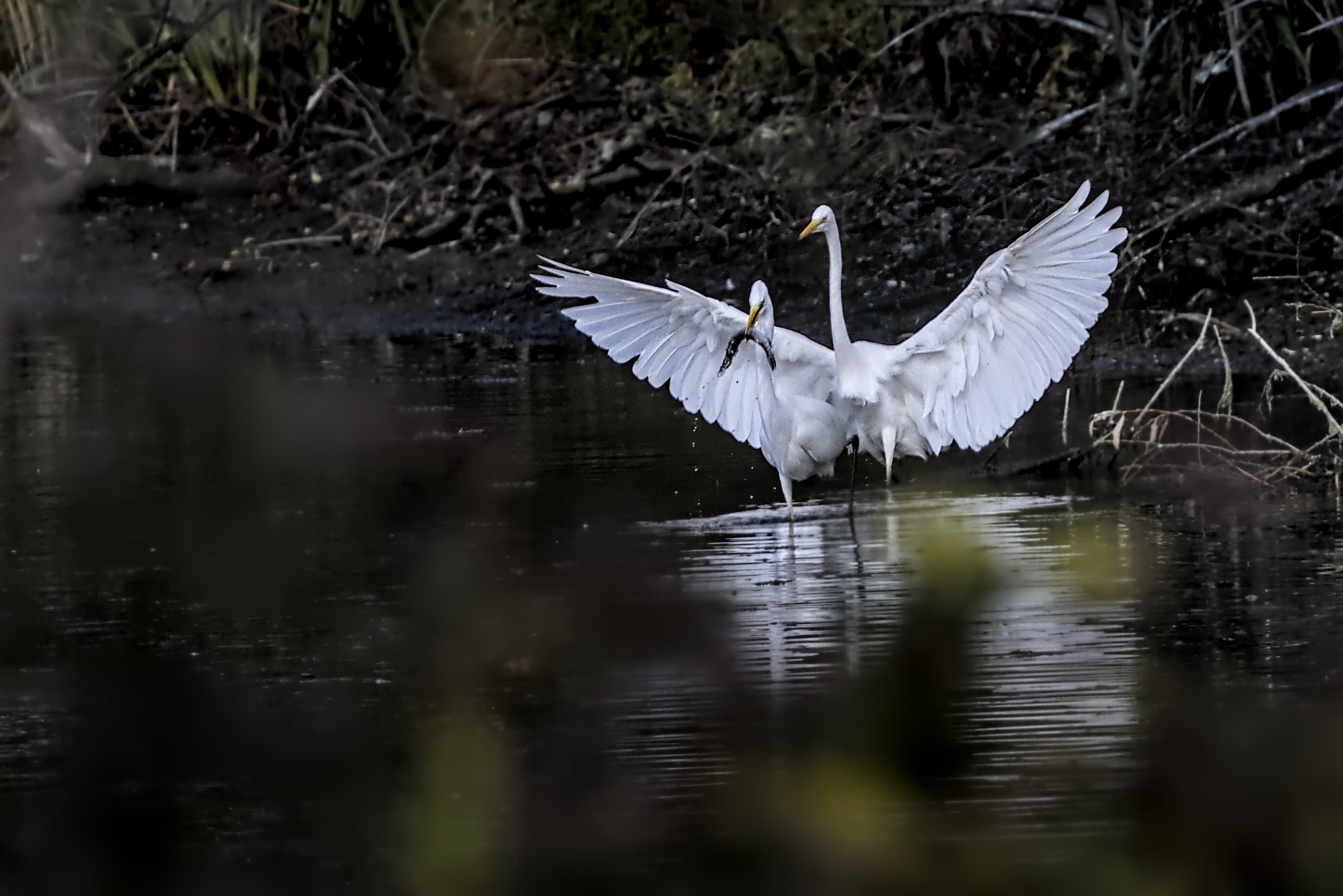 Ich bin wirklich gro&szlig;
