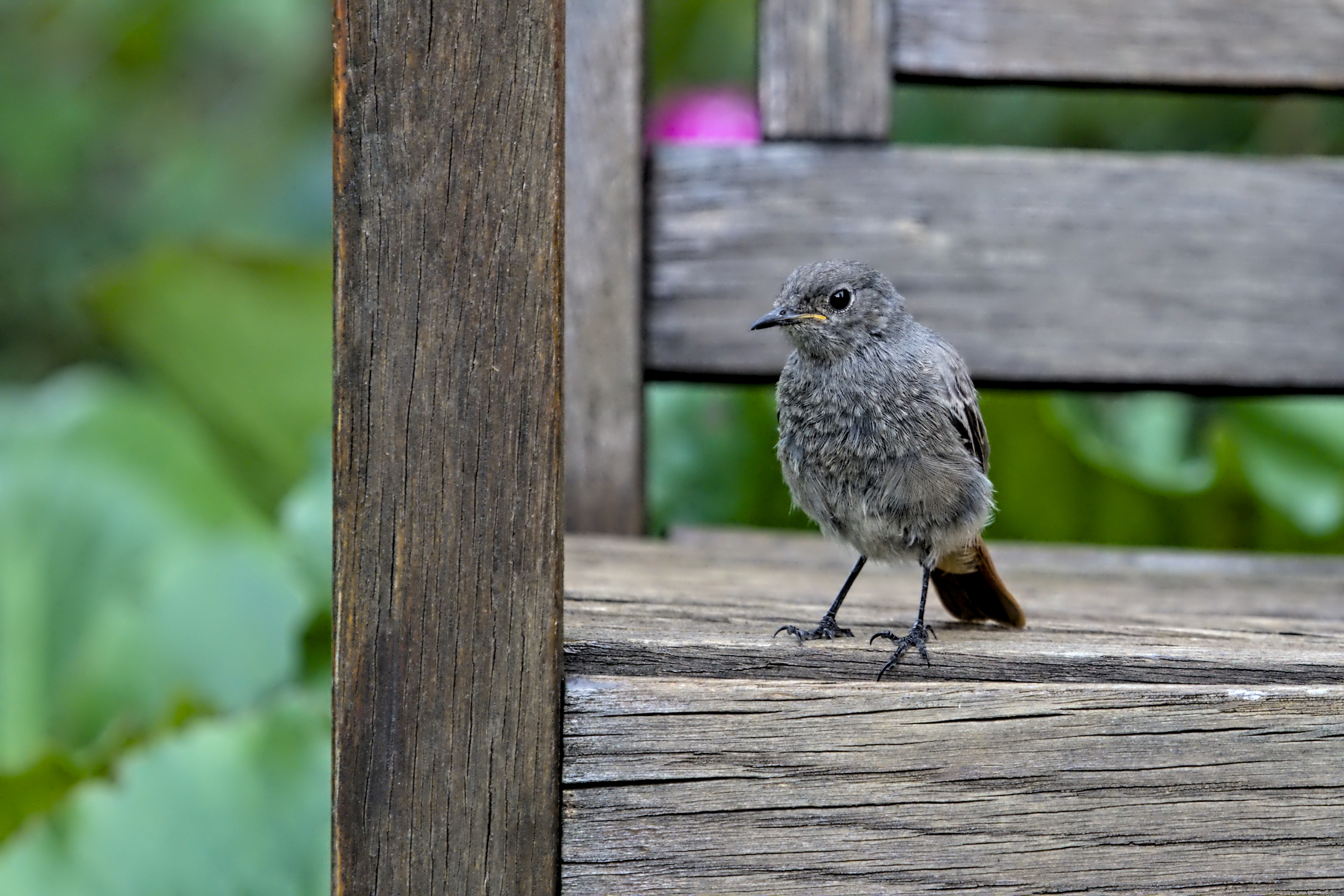 Ich komme zu Dir hinunter