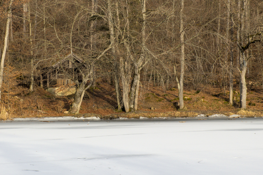 Hütte am See