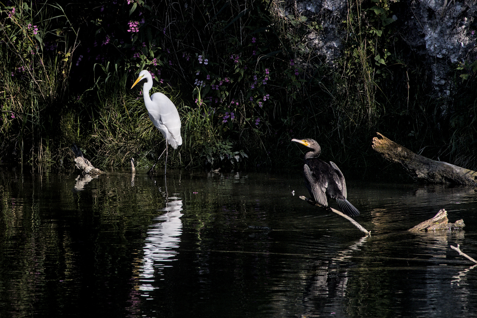 Bucht der Spiegelungen?