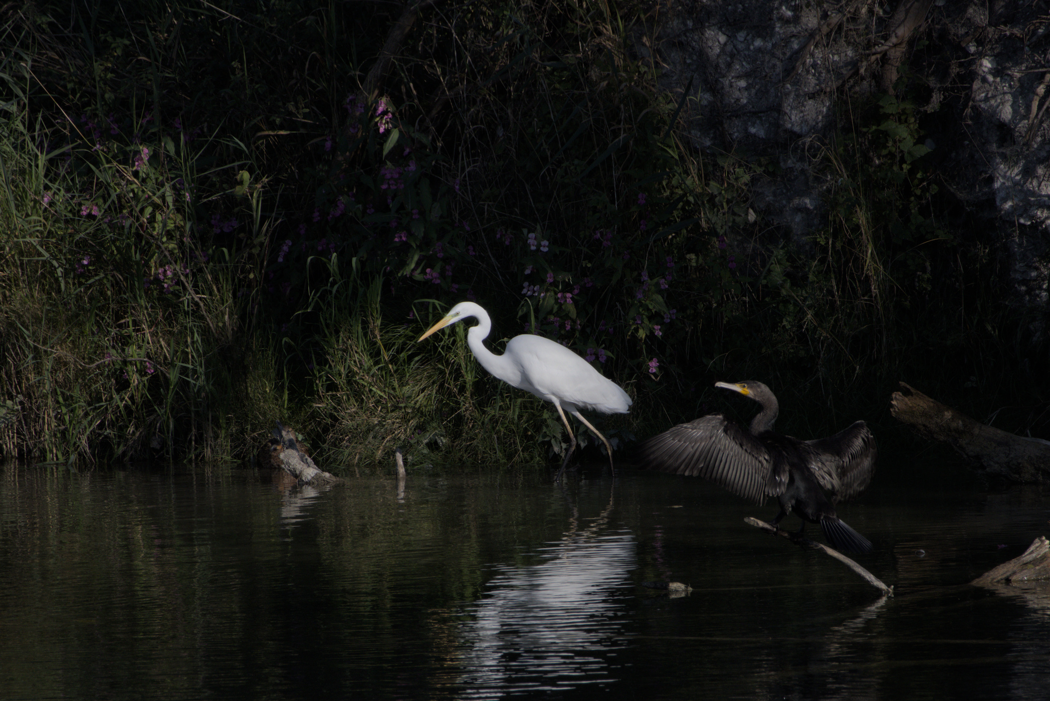 Der n&auml;chste Schritt